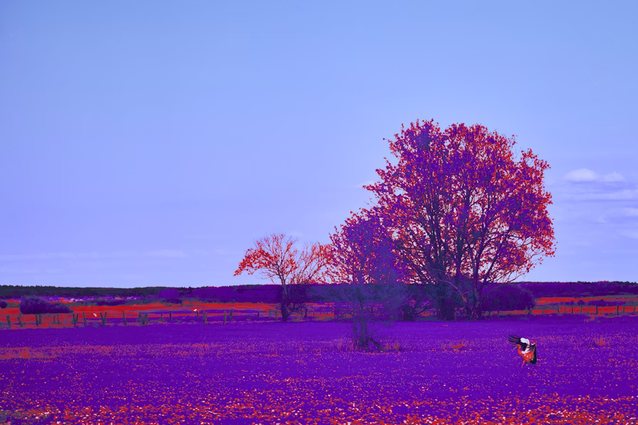 Abstract photography example